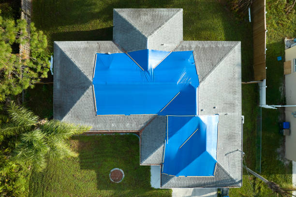 Best Green or Eco-Friendly Roofing Solutions  in Williamston, NC