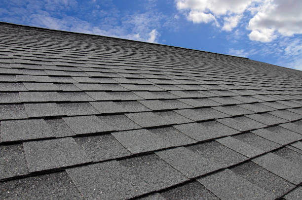 Best Siding  in Williamston, NC