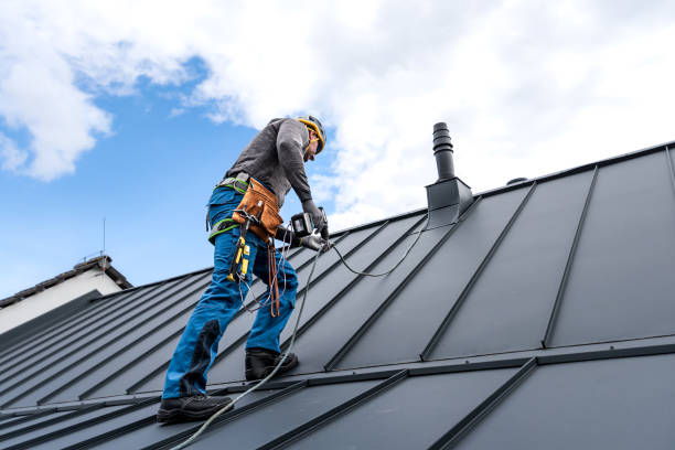 Best Roof Coating and Sealing  in Williamston, NC